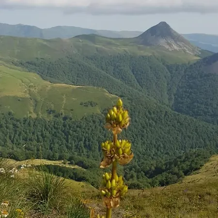 Moderne 1 Entre Evasion Design Et Nature